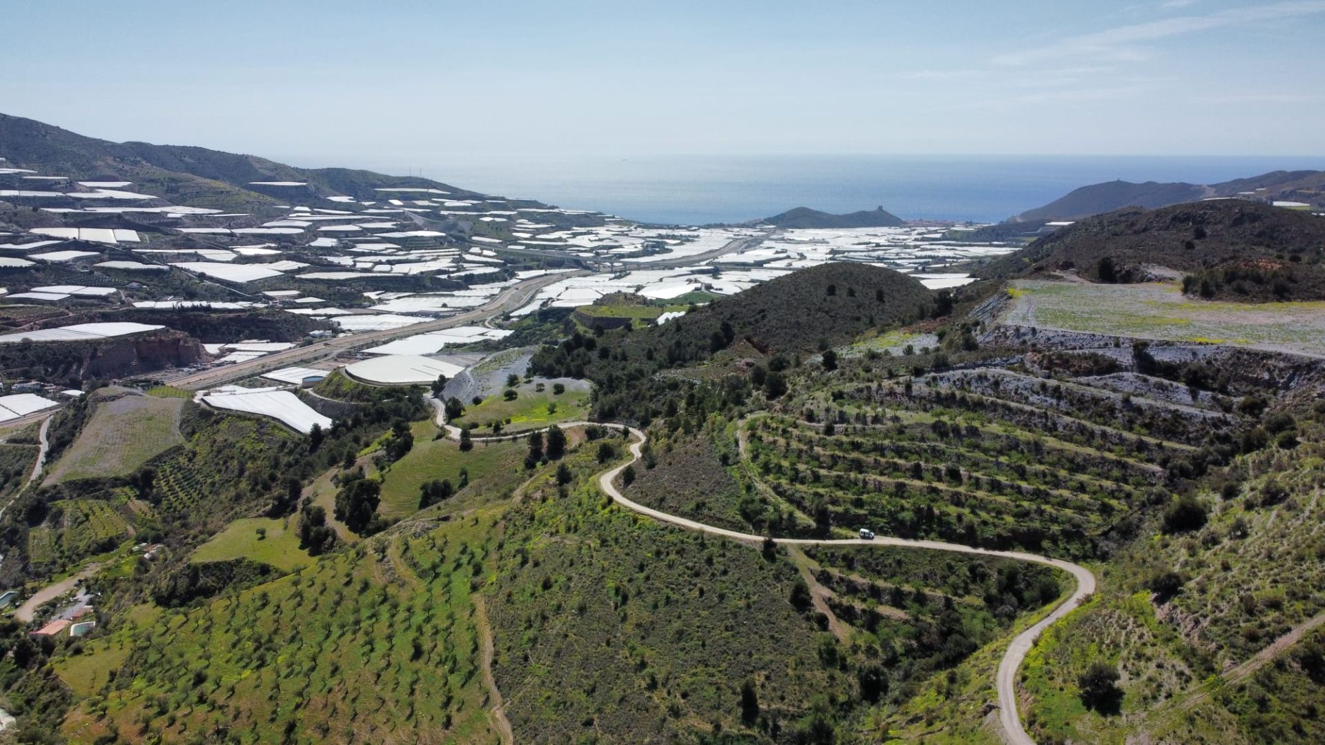 усадьба в Gualchos, продажа